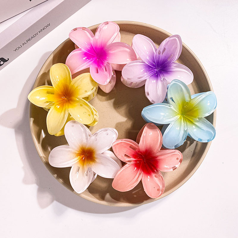 Women Accessories In Wholesale - 1/6 Uds 8CM pinzas para el