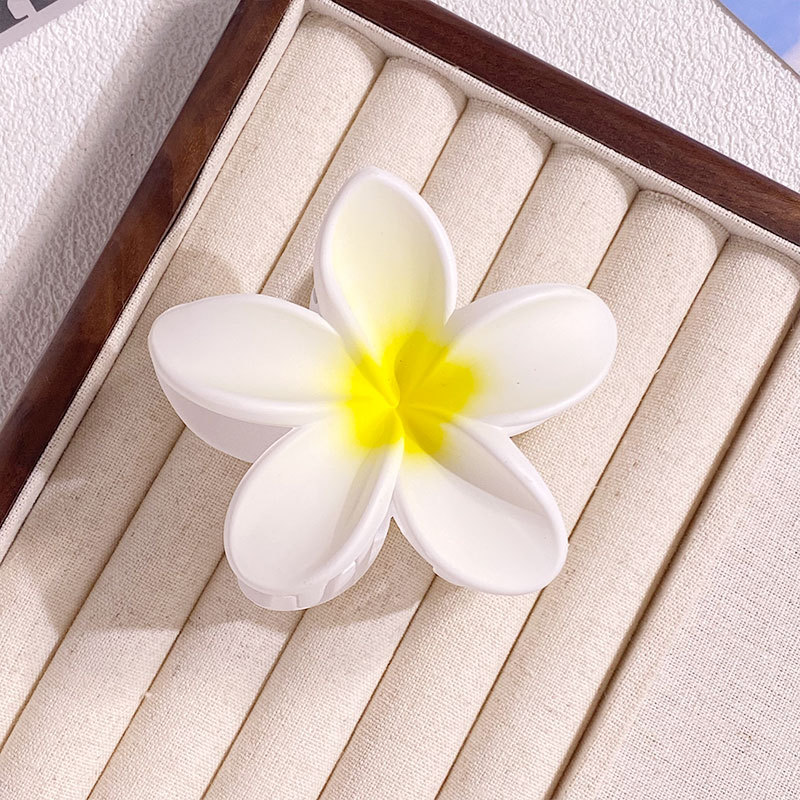 1/6 Uds 8CM pinzas para el cab - Women Accessories In Wholesale reseña y precio