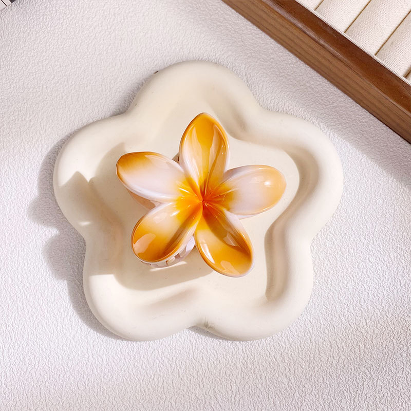 1/6 Uds 8CM pinzas para el cab - Women Accessories In Wholesale reseña y precio